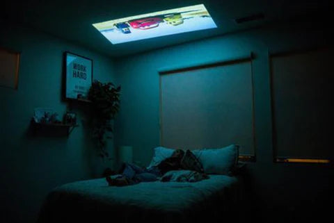 Ceiling Projector